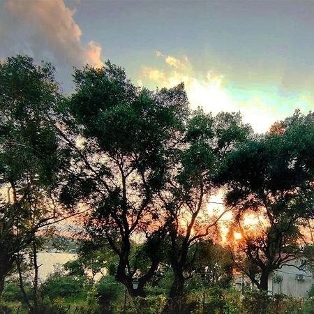 Coritos Apartments Corfu Kontokali Dış mekan fotoğraf