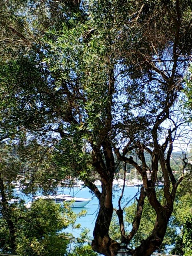 Coritos Apartments Corfu Kontokali Dış mekan fotoğraf